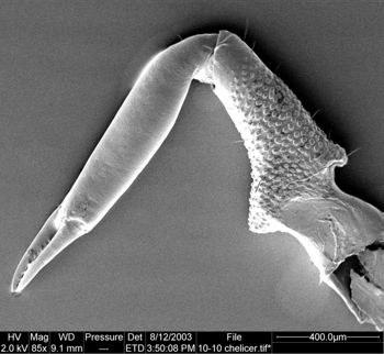 Media type: image;   Invertebrate Zoology 134645